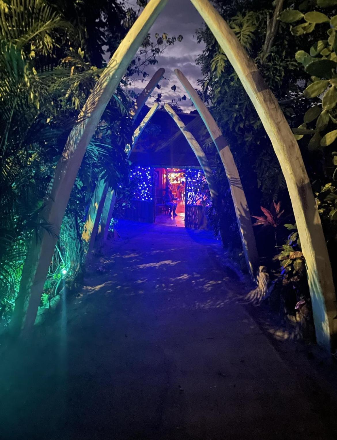 La Perla Negra Eco Pirate Resort 蓬塔雷纳斯 外观 照片